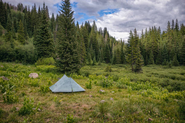 Campsite in the Eagles Nest Wilderness, Colorado Campsite in the Eagles Nest Wilderness, Colorado in United States, Colorado, Silverthorne summit county stock pictures, royalty-free photos & images