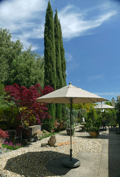 istock Hillside Garden Scene With Umbrella and Clouds 1365203691