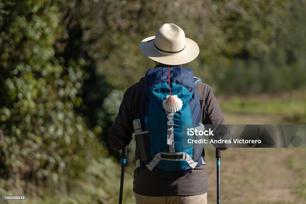 View from behind of a pilgrim walking on his way to Santiago de Compostela View from behind of a pilgrim walking on his way to Santiago de Compostela on a rural way. Way of saint james, Camino de Santiago Camino De Santiago Stock Photo