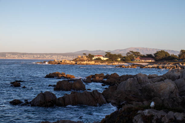 istock The Monterey Coast, California USA 1365206085