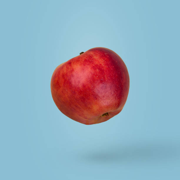 istock Red and ripe apple  flying in air isolated on a bright blue background. 1365207651