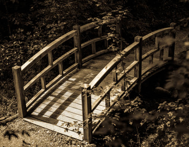 istock wooden footbridge at a park 1365209545