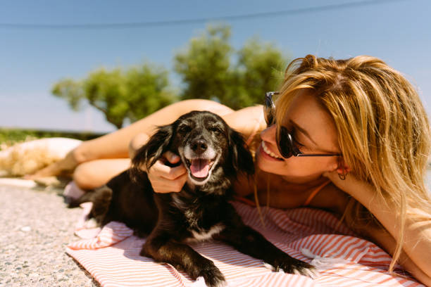 Best friends Photo of a young woman and her dog enjoying the hot summer day by the pool and relaxing. dog swimsuit stock pictures, royalty-free photos & images