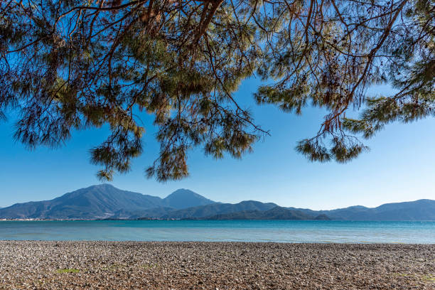 vista della spiaggia di ciottoli, montagne e rami di pino che coprono il cielo blu - pine pine tree tree branch foto e immagini stock