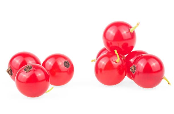 istock Fresh ripe red currant berries isolated on a white background 1365213823