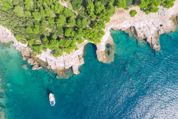 dzikie island - istria zdjęcia i obrazy z banku zdjęć