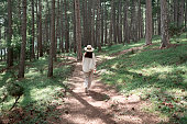 Back view of a young woman walking in a summer forest in white clothes and a straw hat in the sun. Travel and healthy lifestyle, enjoying nature.