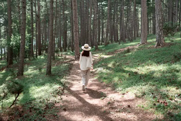 Photo of Back view of a young woman walking in a summer forest in white clothes and a straw hat in the sun. Travel and healthy lifestyle, enjoying nature.
