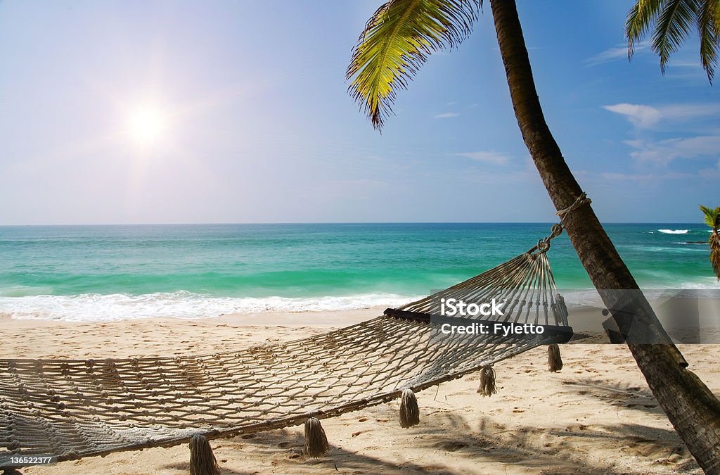 Under the palms Romantic cozy hammock in the shadow of the palm on the tropical beach by the sea Beach Stock Photo