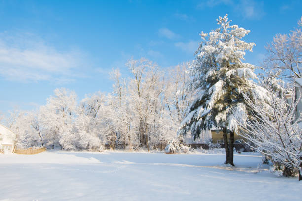 Winter landscape with snow in Pennsylvania Winter is cold and intimidating but its beauty is fascinating and magical. Winter landscapes have a truly dreamlike charm. The fresh snow leaves the landscape untouched and enveloped in comforting silence. newtown stock pictures, royalty-free photos & images