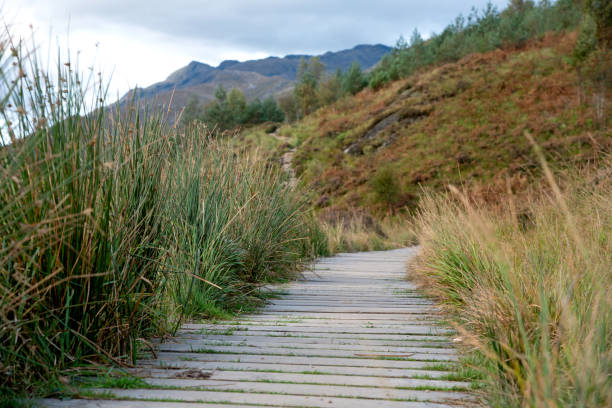 Walking trail in Glenfinnan Valley, Scottish Highland, UK Footpath in Glenfinnan Valley, Scottish Highland, UK glenfinnan monument stock pictures, royalty-free photos & images