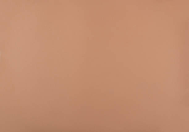 istock Beige or sepia color paper background 1365229371
