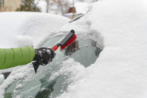 istock Hand with a brush cleaning snow from the car windshield 1365229405