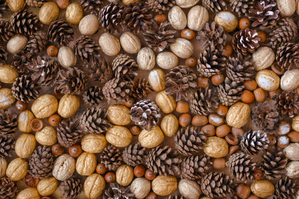 istock Christmas decorative background with pine cones, golden walnuts and acorns with copy space for your design 1365230440
