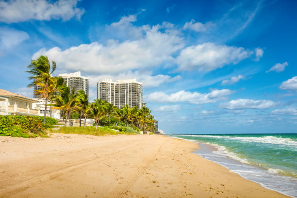 istock Fort Lauderdale Beach Condos Florida 1365232048