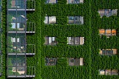 Apartment Building Exterior With Vertical Garden