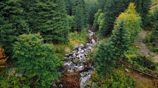 istock Aerial drone view of Balea waterfall in Romania 1365233278