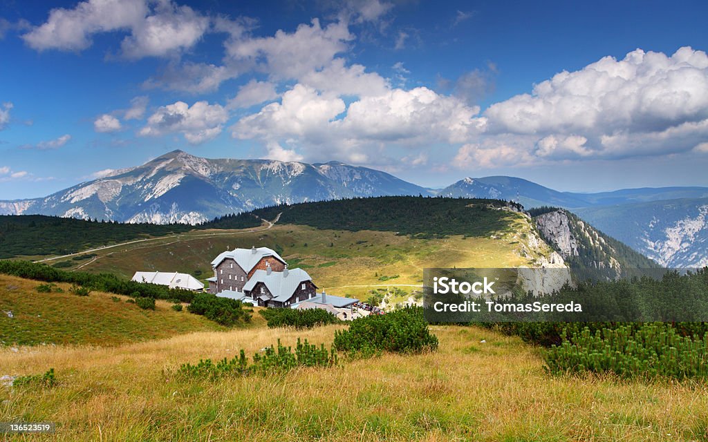 Verano en Austria Raxalpen - Foto de stock de Aire libre libre de derechos