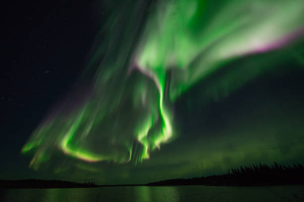 istock Active Aurora Borealis over lake in Canada 1365235807