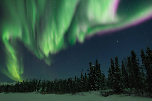 istock Aurora Borealis in winter in Canada 1365235932