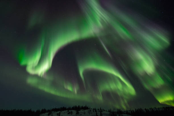 istock Curtains of Aurora Borealis in Canada 1365235950