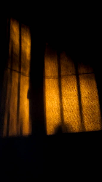 istock Morning sunlight entering through the window 1365238458