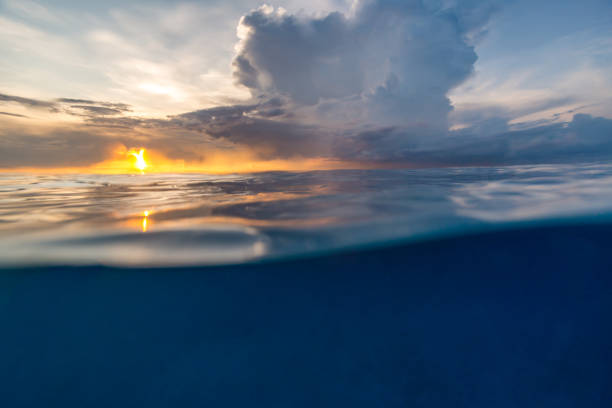 istock Underwater split shot of caribbean blue ocean 1365239066