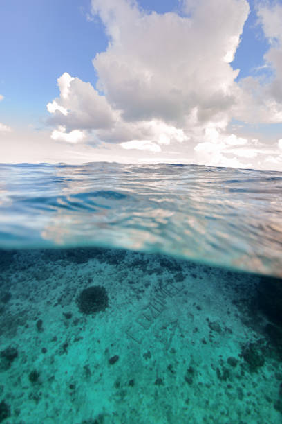 istock Underwater split shot of caribbean blue ocean 1365241624