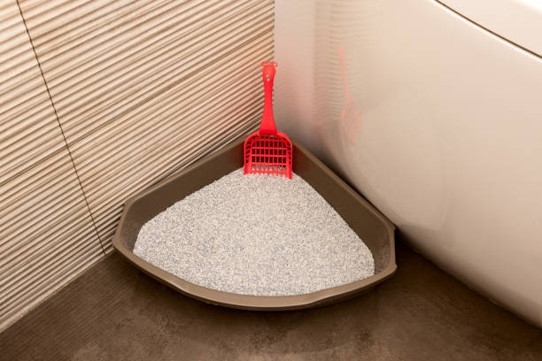 bac de toilette triangulaire pour chat avec pelle rouge dans le coin de la salle de bain - litter box box clean shovel photos et images de collection