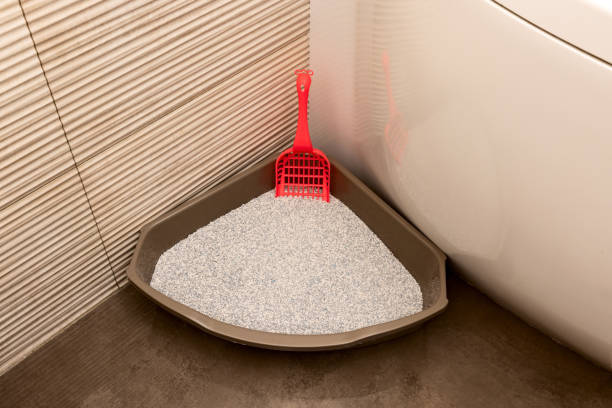 треугольный кошачий унитаз с красной лопатой в углу ванной комнаты - litter box box clean shovel стоковые фото и изображения