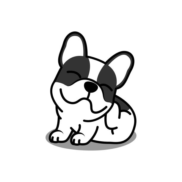 Cute french bulldog puppy scratching cartoon, vector illustration Cute french bulldog puppy scratching cartoon, vector illustration dog sitting icon stock illustrations