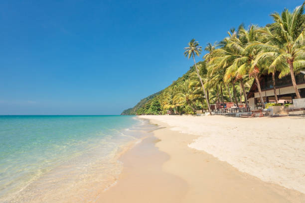istock White sand beach at Koh Chang island 1365245030