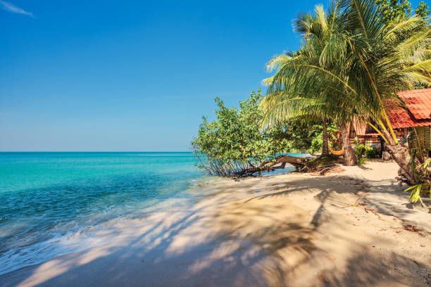istock White sand beach at Koh Chang island 1365245049