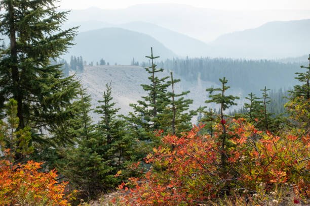 istock Autumn scenery at Mt Hood Recreation Area 1365245721