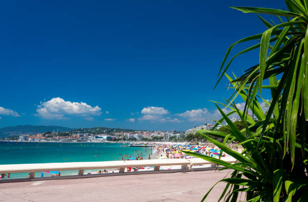 Maritime promenade in Cannes. France"n - fotografia de stock