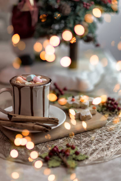 istock Delicious hot chocolate cocoa with marshmallows cookies and cinnamon 1365248656