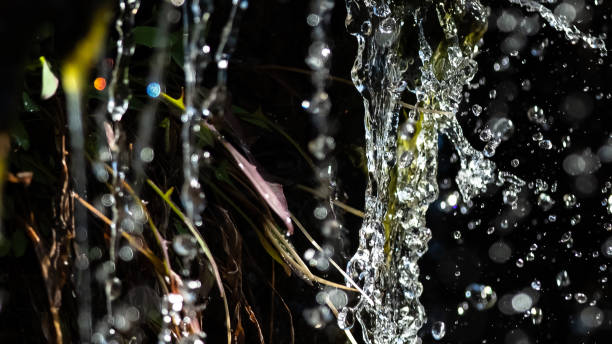 istock Nature Abstract: Splashing Water Streaming Down and Enveloping Fresh Green Vegetation 1365250262