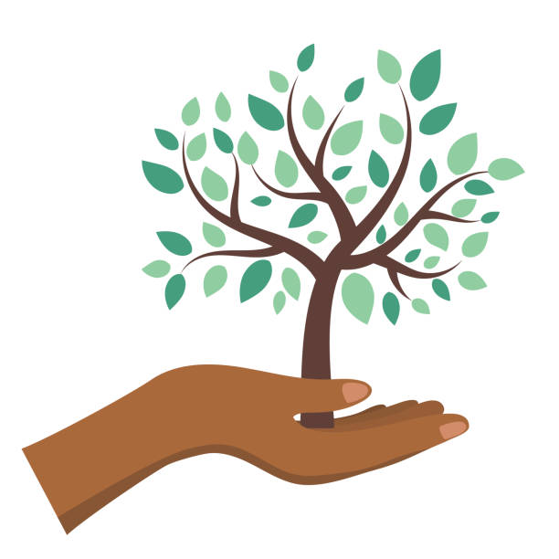 Hand Holding A Tree. Environment or Arbor Day Concept On A Transparent Background A hand holding or protecting a tree. Flat colors. CMYK. Transparent Background Arbor Day stock illustrations