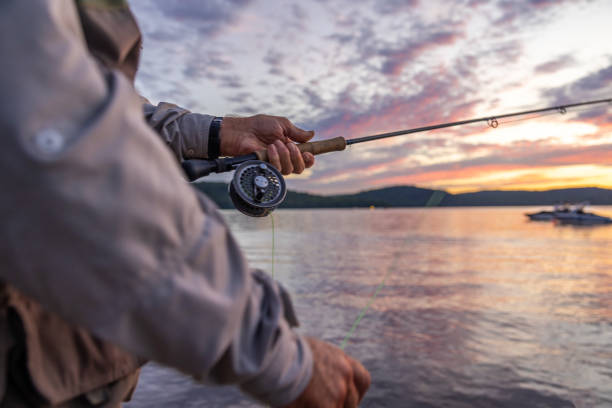 istock Senior Man Fly-Fishing at Sunset 1365250599