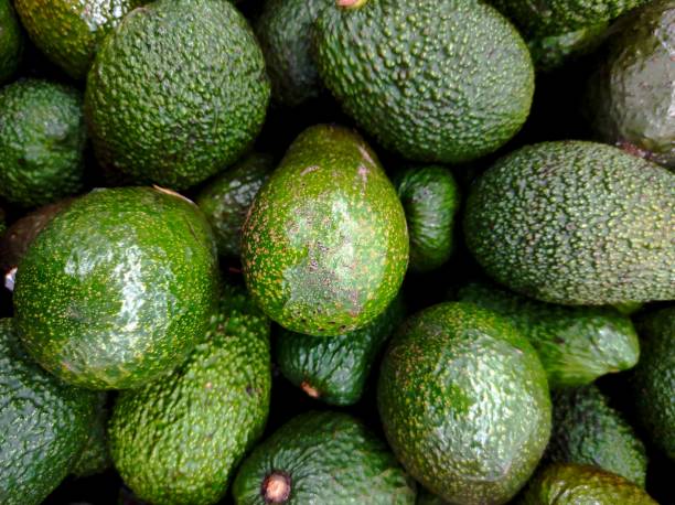 istock A collection of green avocados in a container 1365251653