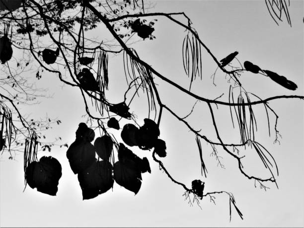 Autumn background.
