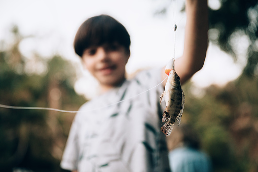 Happy boy catching a fish