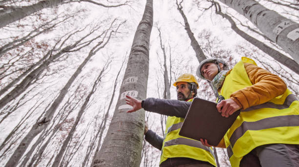 istock Ecologists on fieldwork in beech forest. Ecosystem care and sustainability. Teamwork. 1365253993