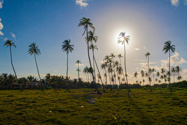 The day in San Andres Island is ful of color and life, with some blue colors in the sea and  green life all the time.