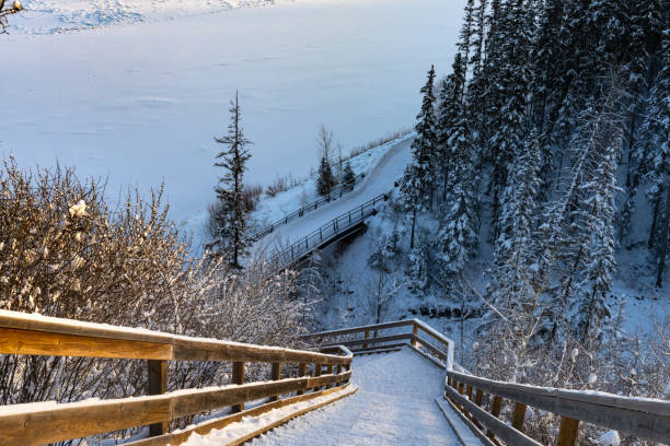 istock Winter landscape with wooden stairs 1365256461