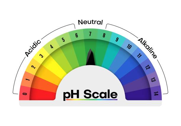 phスケール値計またはダイエット酸測定チャート - number base点のイラスト素材／クリップアート素材／マンガ素材／アイコン素材