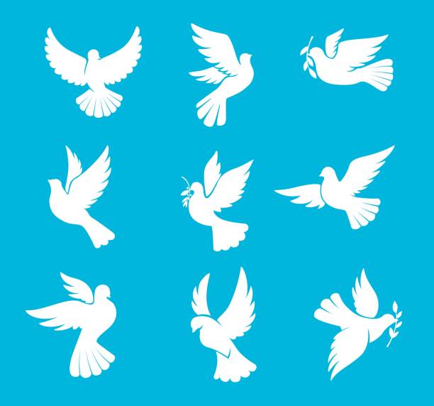 Christmas dove or wedding pigeon bird silhouettes Christmas dove or wedding pigeon silhouettes, vector bird of peace and winter holiday. White dove with olive branch leaf, symbol of hope and freedom, wedding or Christmas greeting card icons wedding silhouettes stock illustrations