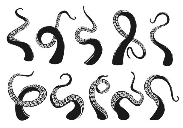 macka krakena i ośmiornicy, tatuaż z potworem kałamarnicy - tentacle stock illustrations