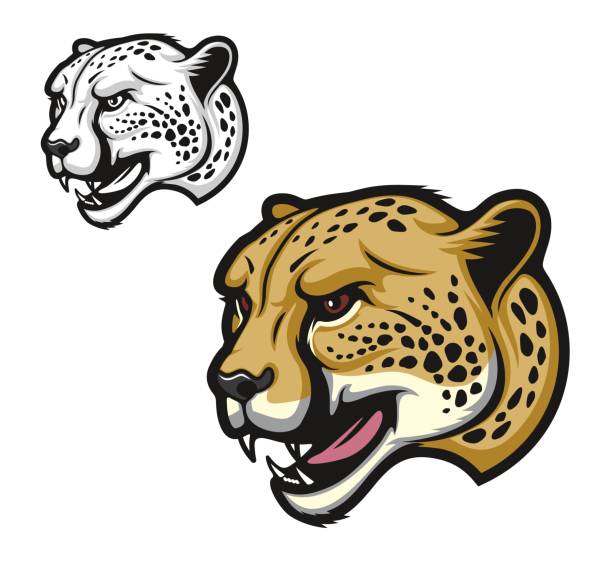60 Violent Cheetah Illustrations & Clip Art - iStock 60 Violent Cheetah Illustrations & Clip Art - iStock