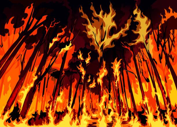 Forest fire wildfire disaster with burning trees Forest fire or wildfire danger disaster, burning forest trees and bushes, vector background. Wall of wildfire in forest, destructive fire of natural disaster, global warming and ecology catastrophe wildfire smoke stock illustrations